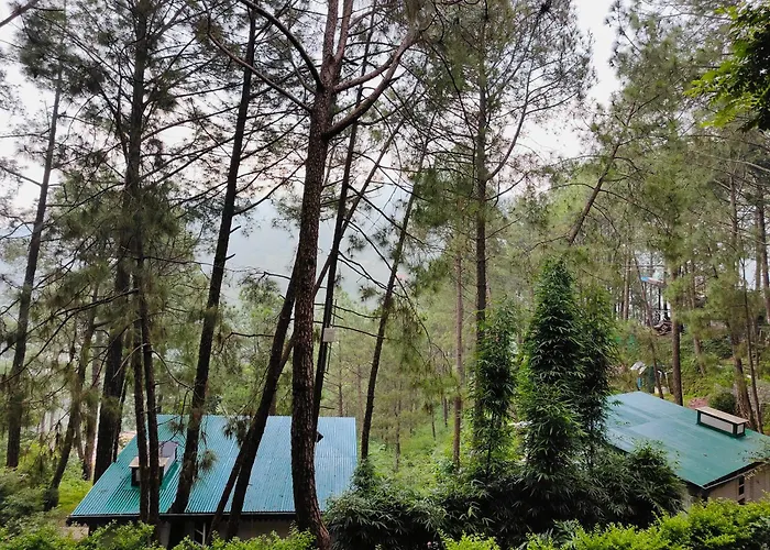 Kasauli Hills Resort