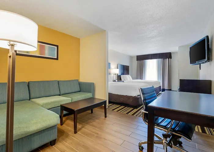 Comfort Inn & Suites Triadelphia - Wheeling