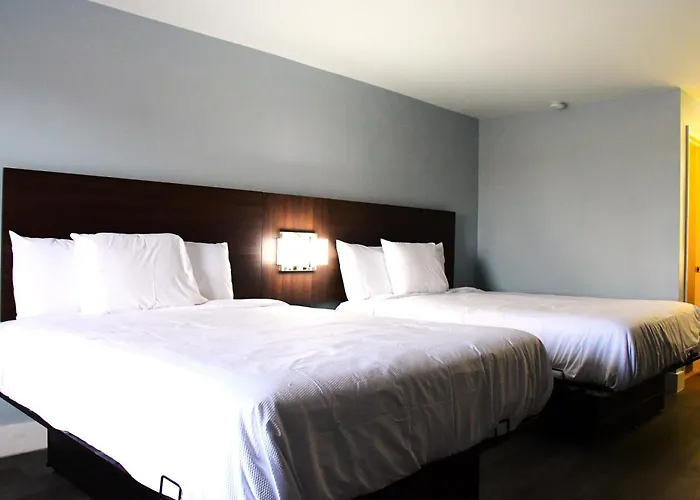 Florence Inn And Suites