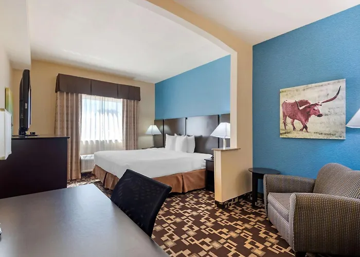 Best Western Plus Arlington North Hotel & Suites Grand Prairie