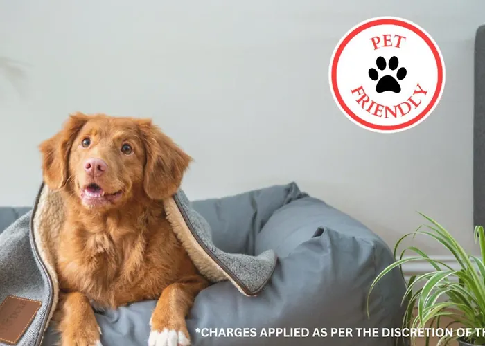 Oyo Hotel Mustang Silver Spring Fl Silver Springs