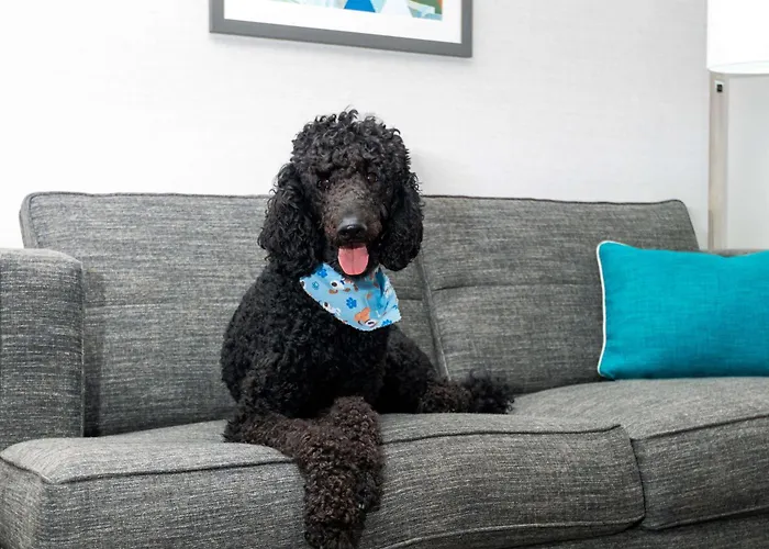 Hampton Inn Hartford Airport Windsor Locks