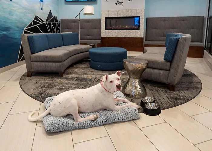 Best Western Plus Wausau Tower Inn