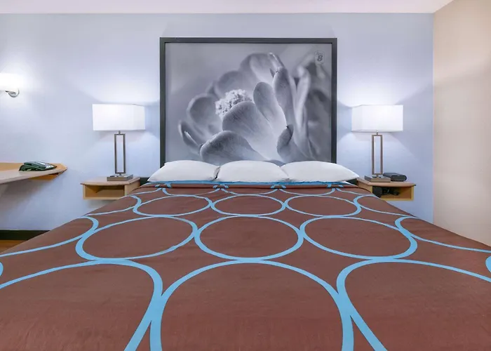 Super 8 By Wyndham New Braunfels I-35 Hotel