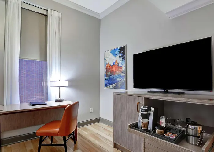 The Cincinnatian Curio Collection By Hilton