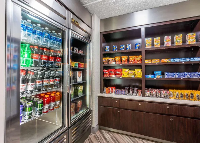 Super 8 By Wyndham The Woodlands North Hotel