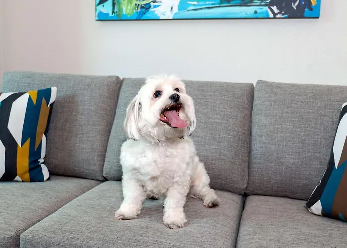 Hampton Inn And Suites Sarasota/Lakewood Ranch Desoto Lakes