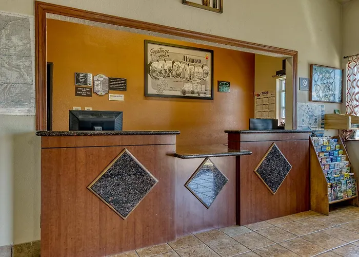 Super 8 By Wyndham Alamosa Motel