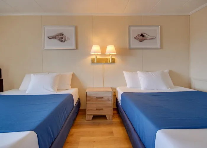 Flamingo Motel Ocean City