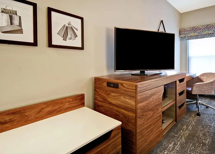 Hampton Inn Atlanta-Mall Of Georgia Buford