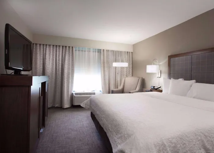 Hampton Inn & Suites Dallas Dfw Airport North Grapevine