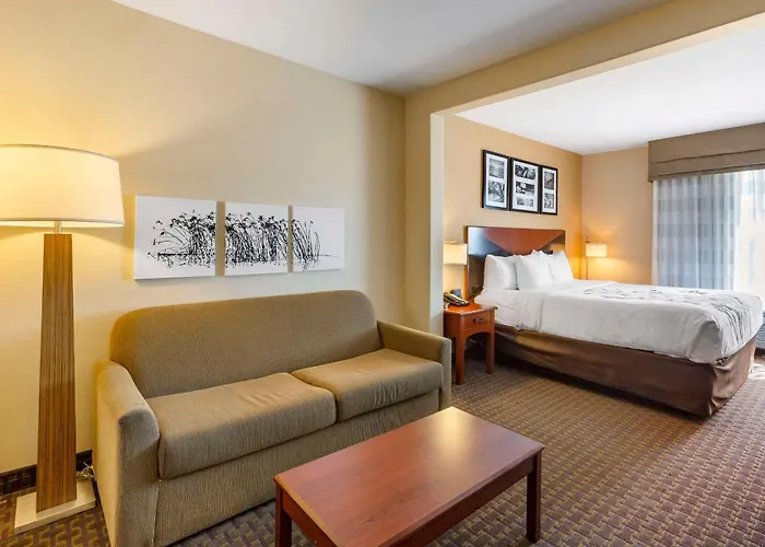 Garner Hotel Idaho Falls Southwest By Ihg