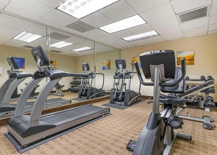 Comfort Inn Near Six Flags St Louis Pacific