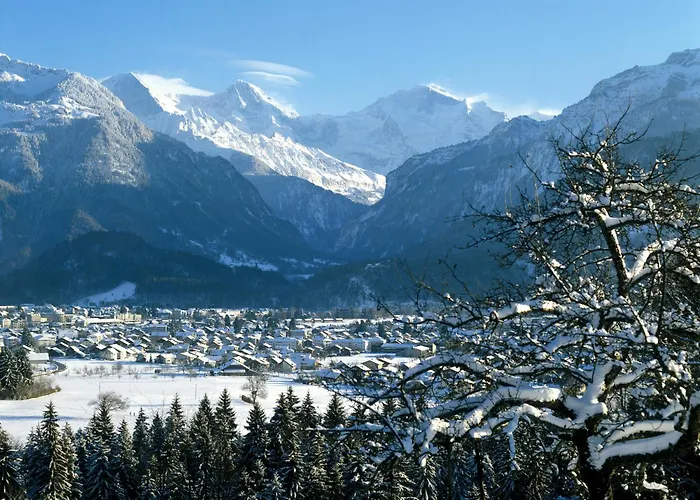 Wilderswil Hotels