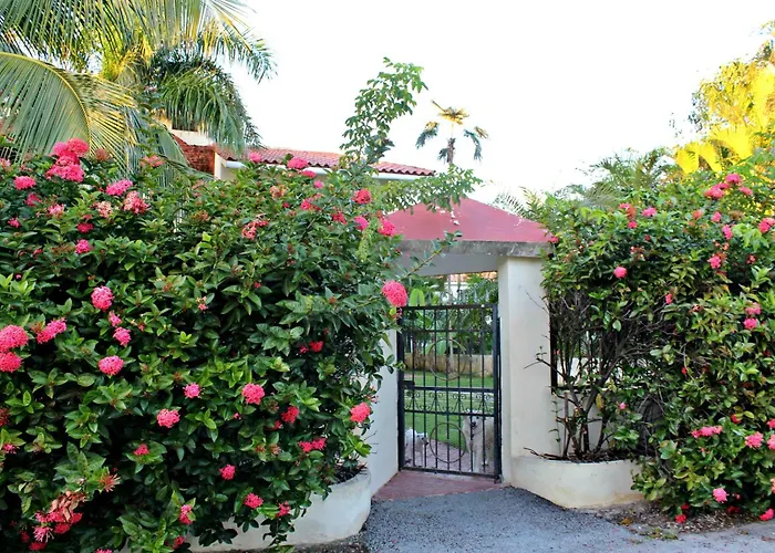Punta Cana Hotels