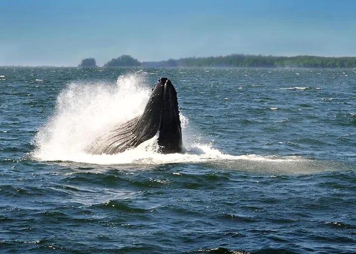 Black Rock Oceanfront Resort Ucluelet
