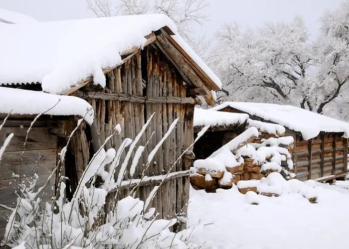 Canyon Of The Ancients Guest Ranch Cortez