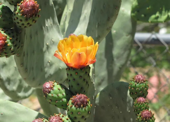 Stagecoach Suites Wickenburg