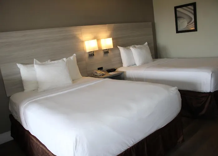 Boca Suites Deerfield Beach; Surestay Collection By BW