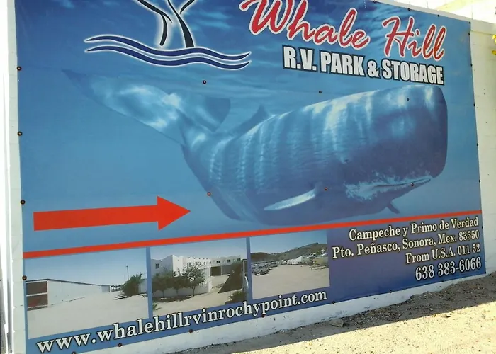 Whale Hill Aparthotel Puerto Penasco