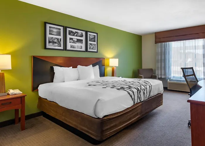 Sleep Inn & Suites Stockbridge Atlanta South