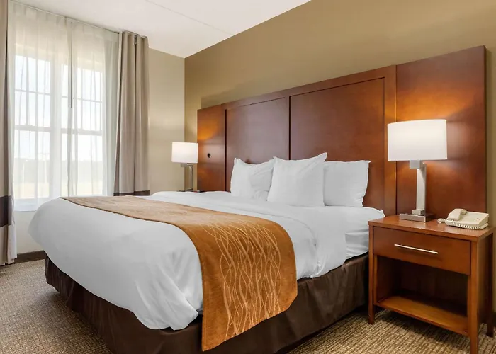 Comfort Inn & Suites Cordele