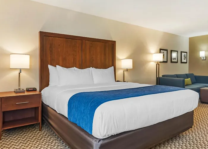 Comfort Inn & Suites Near Route 66 Lincoln