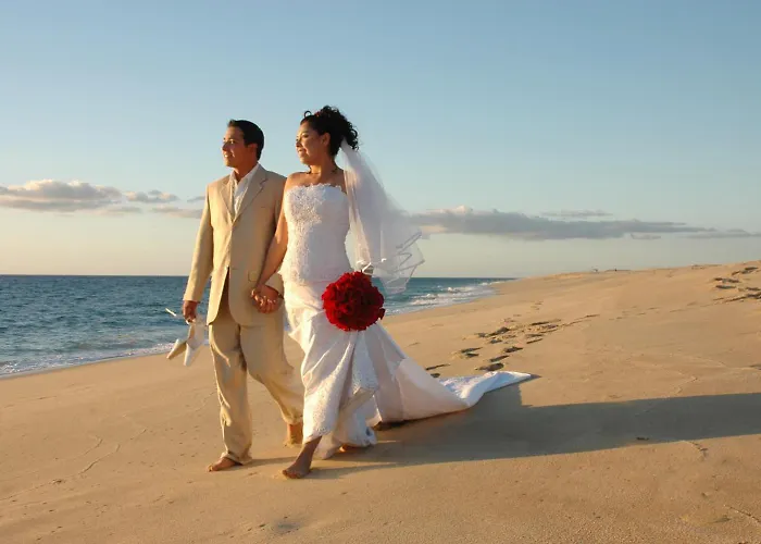 Serendipity Todos Santos