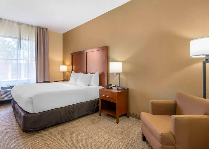 Comfort Inn & Suites Northeast - Gateway St. Petersburg