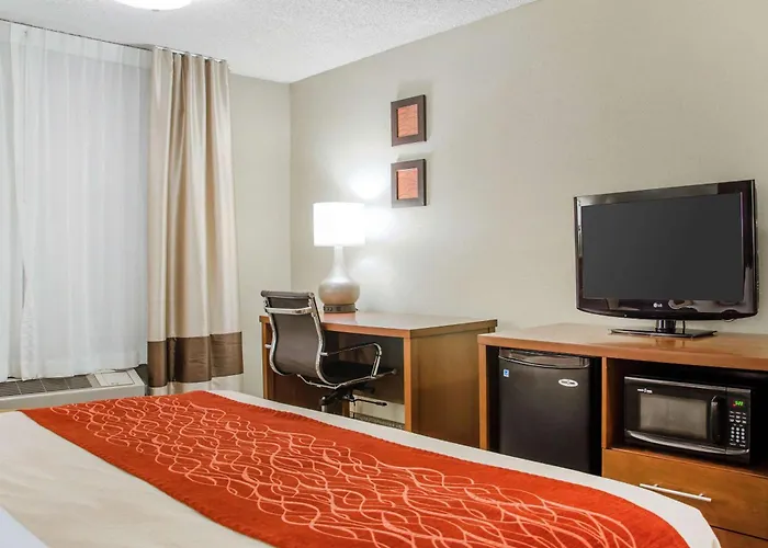Comfort Inn Idaho Falls
