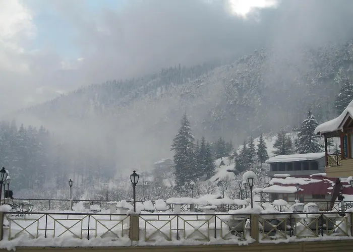 Snow Valley Resorts & Spa Manali