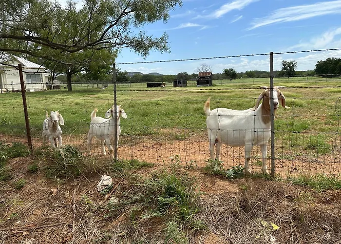 Hotel Kitsmiller On Main Fredericksburg
