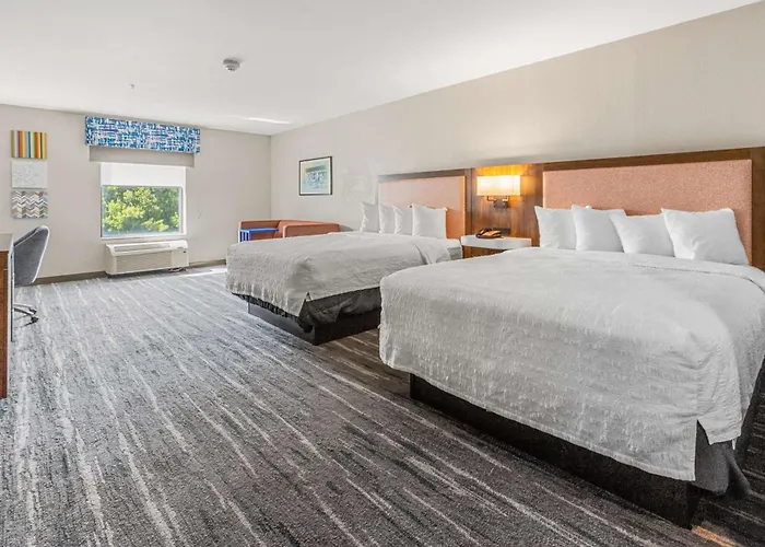 Hampton Inn & Suites Selma-San Antonio/Randolph Afb