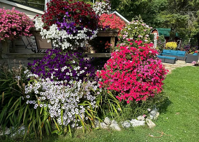 Sunset Motel At Armand'S Gardens Saint Ignace