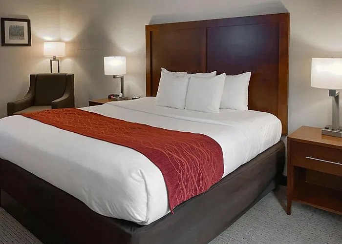 Comfort Inn & Suites Rogersville