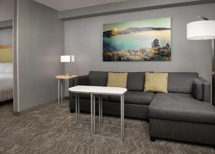 Springhill Suites By Marriott Boise Parkcenter