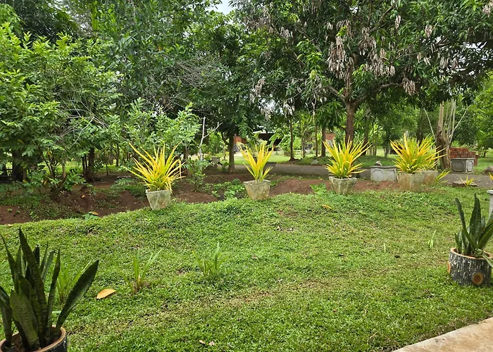 Wilpattu Hotels