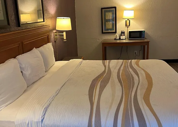 La Quinta Inn By Wyndham Bossier City