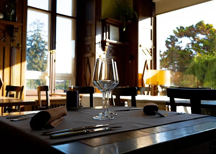Morges Hotels