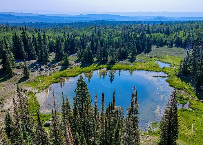 The Mall #203 Brian Head