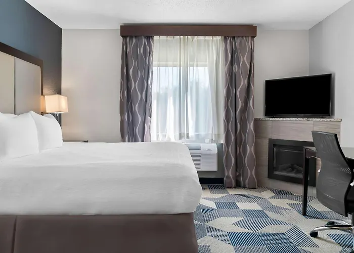 Best Western Plus Flint Airport Inn & Suites