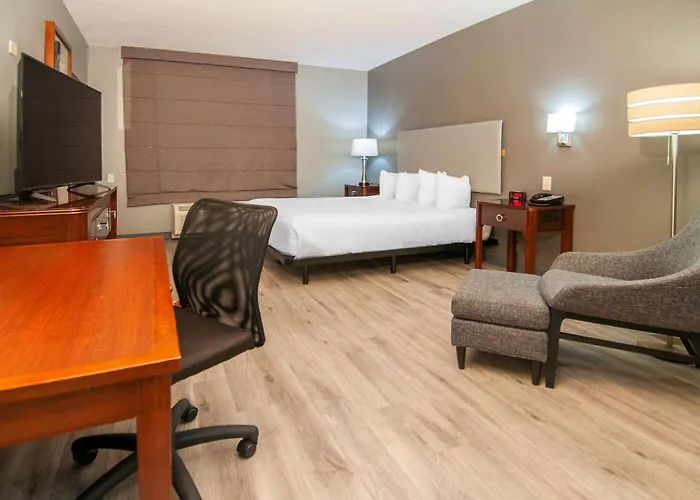 Wingate By Wyndham Tuscaloosa Hotel