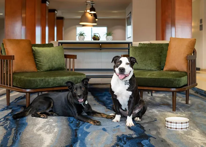 Fairfield Inn & Suites Redding