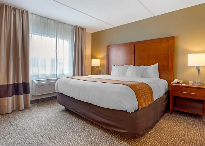 Comfort Inn & Suites Wilkes Barre - Arena