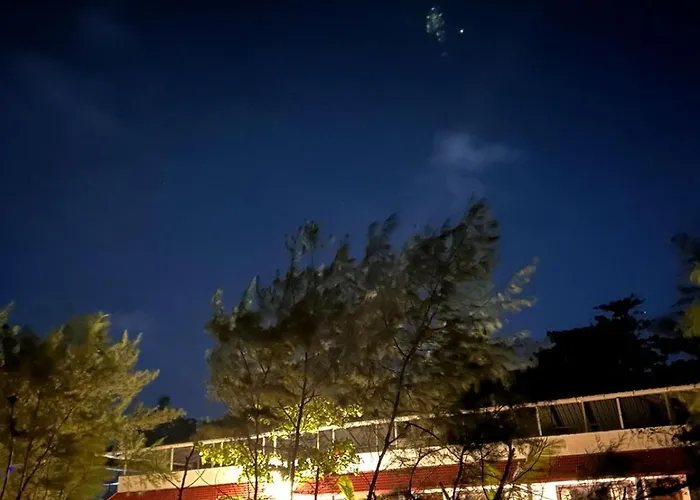 Mararikulam Hotels