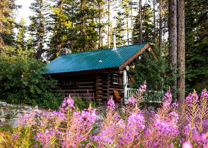 Storm Mountain Lodge & Cabins Castle Junction