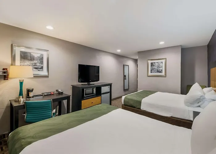 Quality Inn - Denton