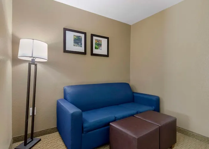 Comfort Suites Benbrook - Fort Worth Southwest