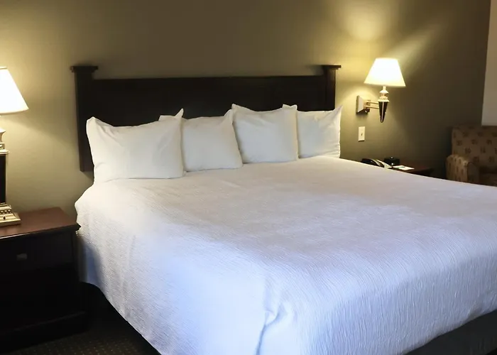 Wingate By Wyndham Peoria - Complimentary Area Shuttle Hotel