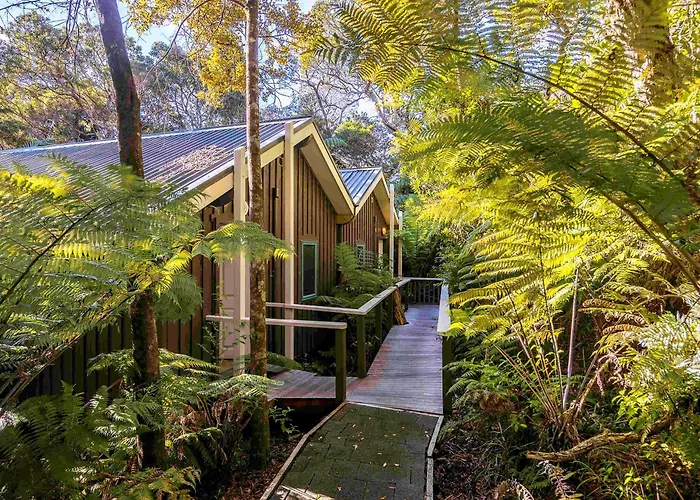 Pauanui Hotels